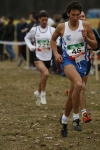 177.jpg