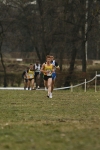 231.jpg