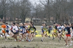 375.jpg