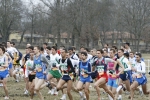 376.jpg