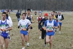 397.jpg