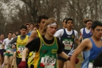 Filename=511.jpg
Filesize=70KiB
Dimensions=600x400
Date added=Feb 18, 2008 511.jpg