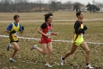 Filename=580.jpg
Filesize=90KiB
Dimensions=600x400
Date added=Feb 18, 2008 580.jpg