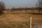 15_02_2008_Parco_di_Monza-roberto_mandelli-0025.jpg