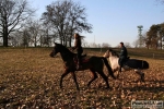 15_02_2008_Parco_di_Monza-roberto_mandelli-0029.jpg
