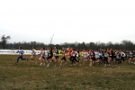 IMG_6309.JPG