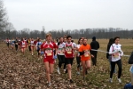 IMG_6333.JPG