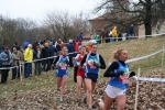 IMG_6411.JPG