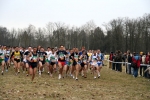 IMG_6510.JPG