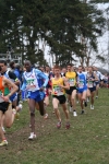 IMG_6729.JPG