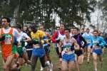 IMG_6733.JPG