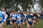 IMG_6734.JPG