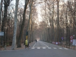 Parco_004.jpg