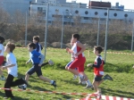 Filename=155_5521.jpg
Filesize=168KiB
Dimensions=1024x768
Date added=Mar 02, 2008 155_5521.jpg