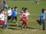 Filename=157_5749.jpg
Filesize=232KiB
Dimensions=1024x768
Date added=Mar 02, 2008 157_5749.jpg