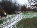 dscf2959jpg.jpg