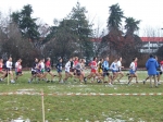 dscf3048jpg.jpg