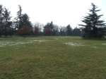 dscf3068jpg.jpg