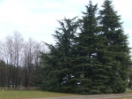 dscf3070jpg.jpg