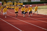 Filename=DSC_2379.jpg
Filesize=204KiB
Dimensions=1024x681
Date added=May 23, 2008 DSC_2379.jpg
