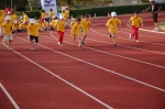 Filename=DSC_2382.jpg
Filesize=193KiB
Dimensions=1024x681
Date added=May 23, 2008 DSC_2382.jpg
