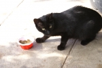 dsc02134.jpg