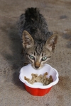 dsc02142.jpg