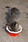 dsc02144.jpg
