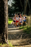 Filename=17-per-webjpg.jpg
Filesize=326KiB
Dimensions=1024x1536
Date added=Jan 15, 2008 17-per-webjpg.jpg