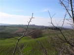 Filename=pienza_07_(29).jpg
Filesize=66KiB
Dimensions=640x480
Date added=Dec 28, 2007 pienza_07_(29).jpg