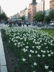 Filename=HPIM1241.jpg
Filesize=250KiB
Dimensions=768x1024
Date added=May 15, 2008 HPIM1241.jpg