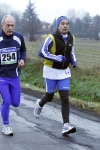 230.jpg