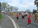 IMG_8984.jpg