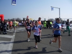 IMGP2003.jpg