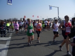 Filename=IMGP2017.jpg
Filesize=137KiB
Dimensions=1024x768
Date added=Feb 25, 2008 IMGP2017.jpg