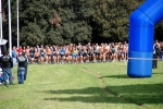 CROSS_INTERB_1375.jpg