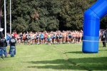 CROSS_INTERB_1376.jpg