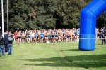 CROSS_INTERB_1377.jpg
