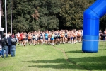 CROSS_INTERB_1378.jpg