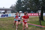 img_5142jpg.jpg