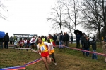 img_5227jpg.jpg