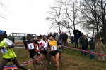 img_5228jpg.jpg