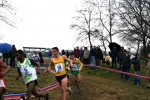 img_5229jpg.jpg