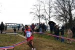 img_5230jpg.jpg
