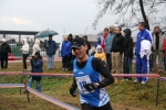 img_5251jpg.jpg
