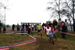 img_5262jpg.jpg