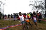 img_5263jpg.jpg