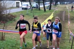 img_5290jpg.jpg