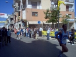 IM000805.jpg