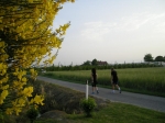 spv_08_025.jpg
